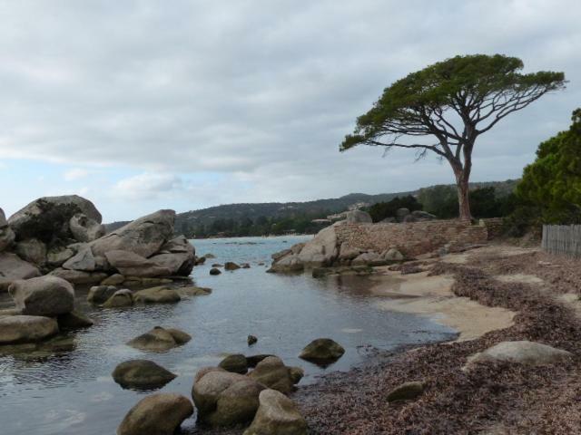 Luna Verde Porto-Vecchio  Exteriér fotografie