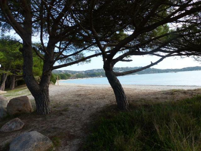 Luna Verde Porto-Vecchio  Exteriér fotografie